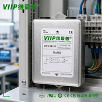 Filtre de ligne électrique CA VIP4-2B-10 B042Q0702 par VIIP, 220V 6A monophasé, filtre RFI pour onduleurs solaires et stockage d'énergie