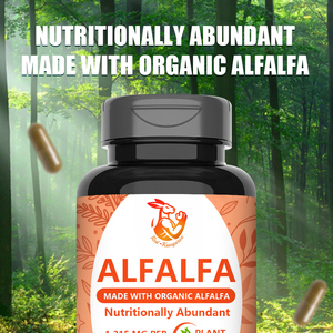 Cápsulas de Alfalfa OEM ODM para el Bienestar General y el Apoyo Inmunológico para Adultos, Cápsulas de Suplemento Herbal de Hoja de Alfalfa Orgánica - Product Image 5