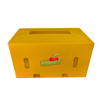 Emballage du produit Boîtes personnalisées Boîte d'emballage de recyclage Boîte en plastique ondulé