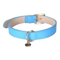 Collier pour chien en cuir bleu ciel avec boucle ardillon dorée et étiquette d'identification vierge, résistant à l'usure, pour la promenade quotidienne - Grande Vente