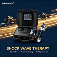 Appareil de thérapie électromagnétique pour chevaux Shockwave, 1-16 Hz, avec écran tactile 8 pouces, format valise