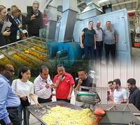 Chaîne de production de frites surgelées à petite échelle en promotion usine / Machine de traitement des chips de pommes de terre / Machine à fabriquer les frites