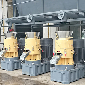 LANE à une perte déchets verts pâte déchets <span class=keywords><strong>bois</strong></span> sciure paille <span class=keywords><strong>granulés</strong></span> faisant la machine biomasse moulin à <span class=keywords><strong>granulés</strong></span> - Product Image 4