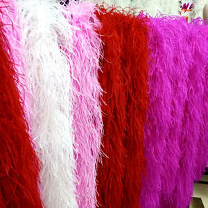 10ply-30ply Boas plumes d'autruche écharpe plume d'autruche Boa pour vêtement robe accessoire Performance fête décoration vêtements - Product Image 1