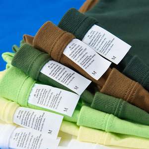 T-<span class=keywords><strong>shirt</strong></span> homme Fitspi, poids lourd, 250g, 100% coton, double couture, <span class=keywords><strong>tee</strong></span>-<span class=keywords><strong>shirt</strong></span> uni, col rond, <span class=keywords><strong>couleur</strong></span> unie, couche de base - Product Image 2