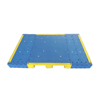 Palette en plastique PP/HDPE réutilisable de haute qualité pour les produits en conserve, entrepôt frigorifique