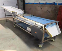 Fruit sorteermachine