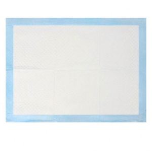 Prix Abordable, Échantillon Gratuit : Tapis d'Entraînement Jetables pour Chiots et Chiens, Absorbants pour Pipi - Product Image 1