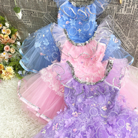 Kostum Balet Putri Anak Perempuan Biru Muda Gaun Tutu Balet Profesional Biru Berkilau dengan Lengan Ruffle