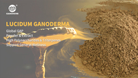 GANOHERB Capsule organique de spores de Ganoderma avec extrait de champignon Reishi Lingzhi Suppléments à base de plantes chinoises