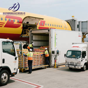 야오후이 DDP 중국에서 미국 영국 캐나다 독일 프랑스 이탈리아 싱가포르 뉴질랜드 UPS FedEx DHL 익스프레스 + 항공화물 운송업자 - Product Image 5