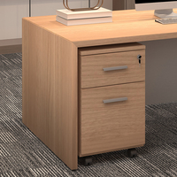 Meuble de rangement mobile sous bureau avec serrure à clé, meuble bas de rangement pour bureau, maison, école, hôtel