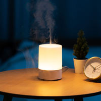 Diffuseur d'arômes USB mini DQ712 en promotion, 120 ml, veilleuse 7 couleurs, humidificateur ultrasonique à brume froide, diffuseur d'huiles essentielles de bureau