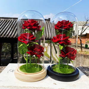 Tres Rosas Preservadas en Cúpula de Cristal, Adornos para el Día de la Madre, Flor Simulada con Cubierta de Cristal, Luces LED, Rosa Eterna - Product Image 4