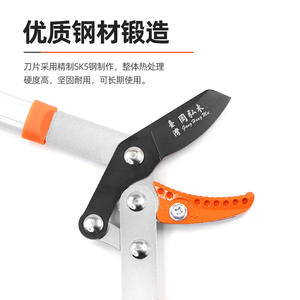 กรรไกรตัดแต่งกิ่งแบบยืดหดได้ Zhonglishi ด้ามยาว เหล็ก SK5 สำหรับสวนผลไม้ ต้นไม้ในสวน ขนาดปากกรรไกร 7 ซม. - Product Image 2