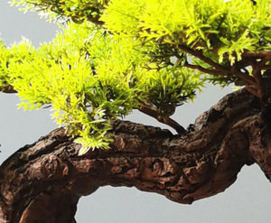 Arreglo Decorativo de Musgo Sintético Creativo y Duradero, Vegetación Artificial Acrílica para Decoración del Hogar, Entrada, Sala de Estar - Product Image 3