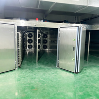 Hoge Efficiëntie 1000kg 2000kg Industriële Droogmachine Warmtepomp Droogmachine voor Fruit en Groenten Mango Dehydrator