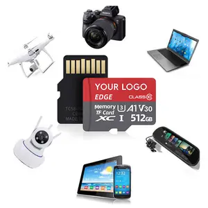 Customized Mini Memory Card 256mb To 128gb Capacity Smart Feature Compatible With Dvr For Car Gps Storage