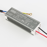 Driver LED AC-DC Zetoo Brand High PF Non-Isolated Waterproof IP65 Anti-Kedip Standar EMC Proteksi Lonjakan Tegangan Tunggal 30W Outdoor