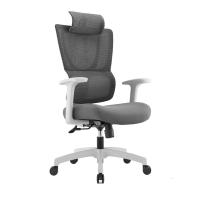 Chaise ergonomique haut de gamme à dossier haut en maille |   Appuie-tête et support lombaire réglables |   Chaise de bureau pivotante avec base en nylon