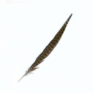 Plumas de Cola de Faisán Reeves 35-40cm Naturales para Manualidades, Decoración del Hogar y Disfraces de Carnaval - Product Image 2