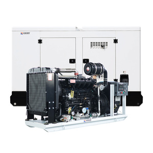 Equipo de Generación de Biogás, Generadores de Turbina de Gas Natural y GLP, Grupo Electrógeno de Gas Natural de 62.5 kVA 50 kW para el Hogar - Product Image 1