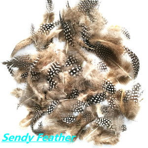 Offerta Speciale: Piume di Pappagallo d'India Grezze 6-12cm per Decorazioni, Artigianato, Forniture per Feste, Ingrosso e Cappelli da Maschera - Product Image 3