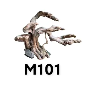 유목 수족관 분재 장식 유목에서 전문적인 새로운 트렌드 분재 수족관, M101