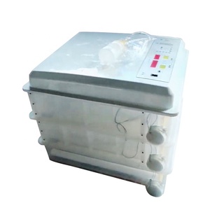 Giá Rẻ Hoàn Toàn Tự Động Công Nghiệp Lồng Ấp Trứng Gà Lồng Ấp Trứng - Product Image 4