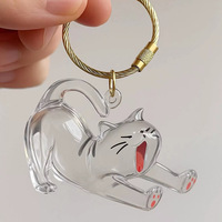 Porte-clés commémoratif pour poils d'animaux (chat, chien, chaton) – Acrylique transparent, résistant, ignifuge, pour collectionneur, souvenir DIY, motif dessin animé