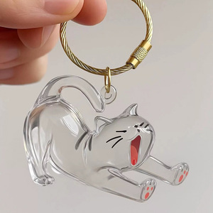 Porte-clés commémoratif pour poils d'animaux (<span class=keywords><strong>chat</strong></span>, chien, chaton) – Acrylique transparent, résistant, ignifuge, pour collectionneur, souvenir DIY, motif dessin animé - Product Image 1