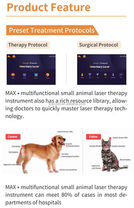 Lápiz de Terapia Láser de Bajo Nivel Kanistar MAX-VL2, Terapia Biod con Láser Frío, Longitud de Onda de 650-980 nm, Alivio del Dolor, Equipo Veterinario - Product Image 3