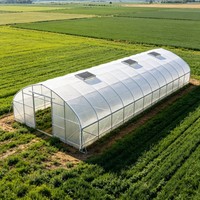 Serre tunnel simple de 8 x 30 m pour tomates, fabriquée en Chine, à vendre