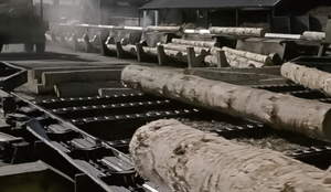 Agricultural Spare <b>Parts</b> Logging <b>Machinery</b> Chains for Sale - Product Image 3