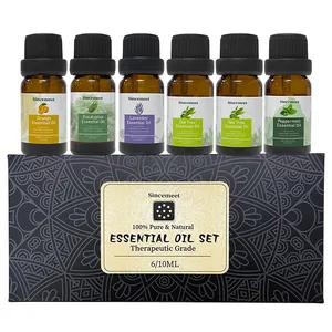 Label Pribadi Massal 10Ml Hadiah Aromaterapi Alami Murni Pohon Lemongrass Teh Pohon Kayu Putih Set Minyak Esensial Peppermint