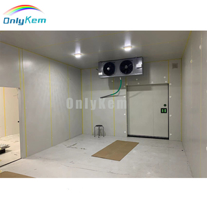 Walk In Freezer Room Refrigerator Cold Storage Chiller Room
