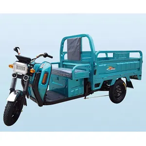 Small three wheel mini dumper truck Three-wheel electric motorcycle electric trike cargo three wheel motorcycle