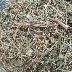 Pasiflora seca de alta calidad, superventas, producto agrícola - Product Image 1