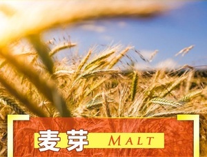 Chine : Bière HARBIN RICH MALT LAGER de qualité supérieure en gros, 500 ml/canette * 12, 11 ° P Grandes exportations de blé riche en arômes de Chine - Product Image 5