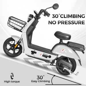 Scooter Eléctrico Beetle, 45 kg de Peso, Frenos de Cubo Delantero y Trasero, Tipo Estándar para Adultos - Product Image 3