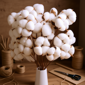 Tallos de algodón natural secos DomeStar de 15 pulgadas de altura para rellenos de jarrones y manualidades DIY - Product Image 2