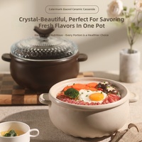 Casserole en céramique émaillée avec couvercle en verre borosilicate haute résistance, intérieur émaillé résistant à la chaleur, diamètre 22 cm pour