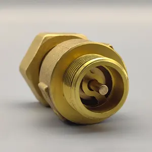 Water Meter Brass Check Valve 1 Way Thread Connection Spring Check Valve