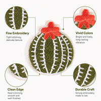 Écusson brodé personnalisé rond vert Cactus avec fleur rouge et détails de broderie, badge logo pour vêtements et sacs, vente en gros usine