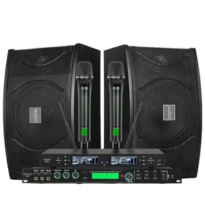 D100-K 10 Inch Speakers Professional Audio System Sound Wireless mic Speakers For dj Stage home theater