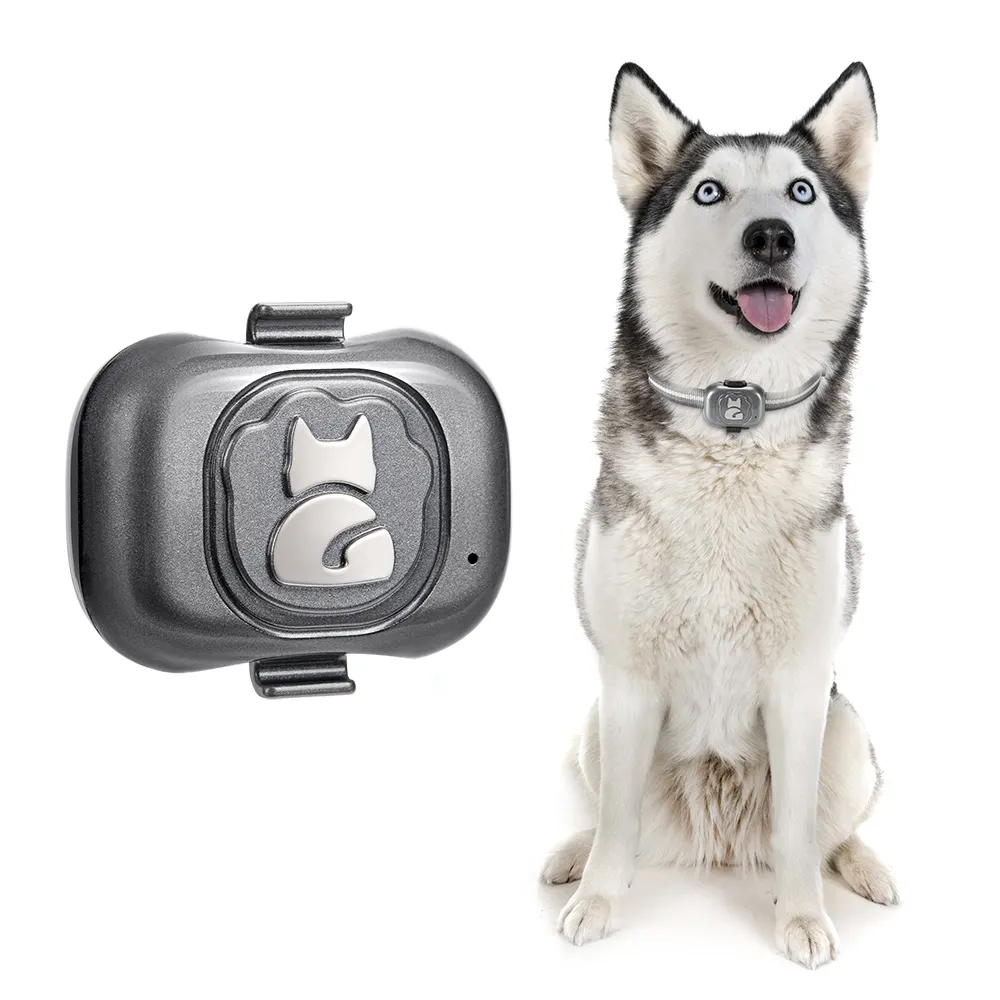Hot Latest IP67 Waterproof Mini GPS Pets Tracker Anti-lost Real Time Tracking Locator for Dog Cat Bird Animals Free Website APP