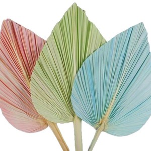 Éventail en feuilles de palmier séchées multicolores, décoration florale originale pour mariage et événements - Product Image 4