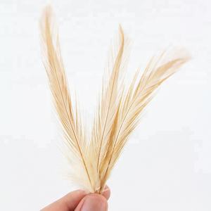 Ribete de Plumas de Cuello de Gallo Económicas de 4-6 Pulgadas al por Mayor para Manualidades, Anzuelos de Pesca y Accesorios de Joyería - Product Image 3