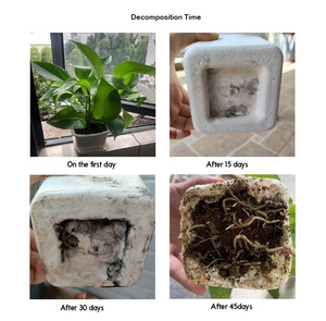 Heavy-Duty dùng một lần giấy tấm phân hủy sinh học mía bã mía tấm thân thiện với môi tự nhiên giấy bột giấy - Product Image 6