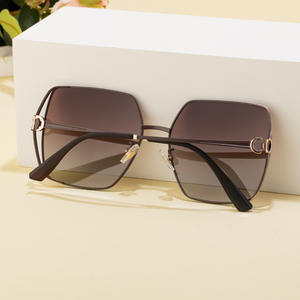 Lunettes de soleil polarisées carrées Dl-D6389 pour femmes, verres TAC UV400, monture en métal TR, couleur marron, style haut de gamme - Product Image 5